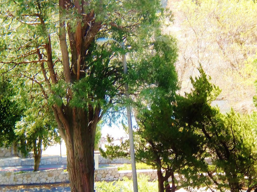 The North Shore Inn Crestline エクステリア 写真
