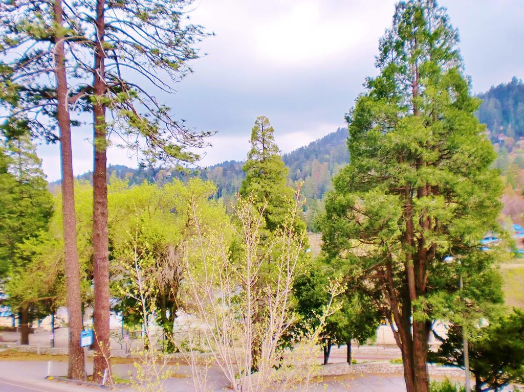 The North Shore Inn Crestline エクステリア 写真